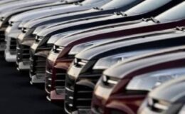 Ağustos 2024 Türkiye Satış Röportajı: Renault Zirvede, Tesla ve Fiat Öne Çıktı