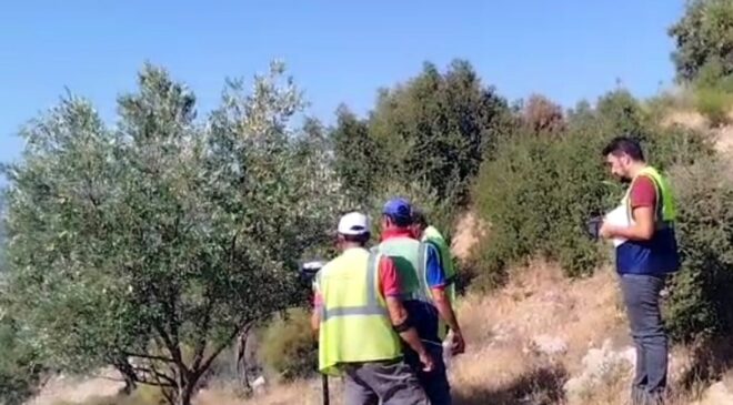 Akbelen Zeytinliklerinde Sayım Krizi ve Yasa Tartışması