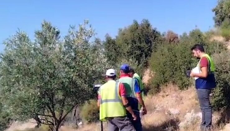 Akbelen Zeytinliklerinde Sayım Krizi ve Yasa Tartışması