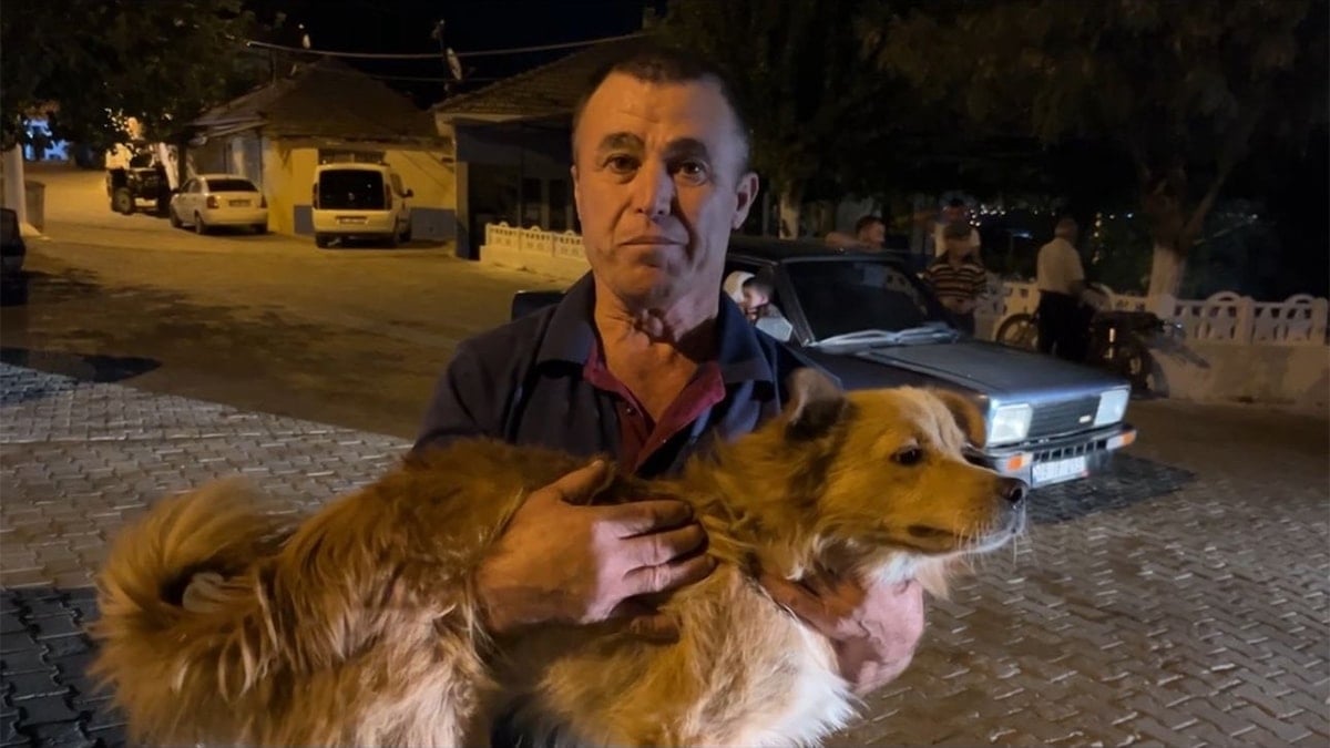Köpeğin Haber Verdiği An: 86 Yaşındaki Kadının Kaybolduktan 20 Saat Sonra Bulunuşu