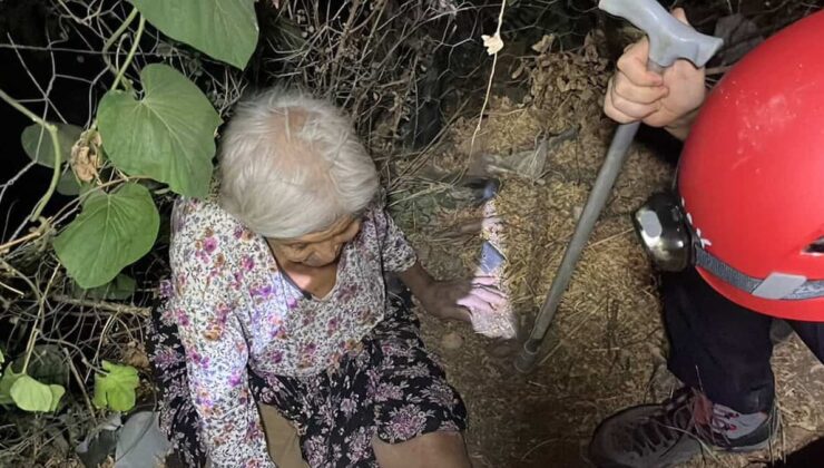 Köpeğin Haber Verdiği An: 86 Yaşındaki Kadının Kaybolduktan 20 Saat Sonra Bulunuşu