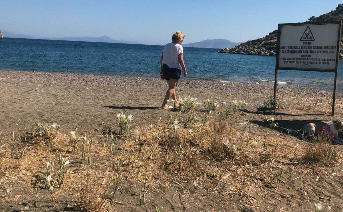 Kum Zambağı: Doğaya Duyarlı Olmanın Bedeli ve Koruma Altında Yaşayan Çiçekler