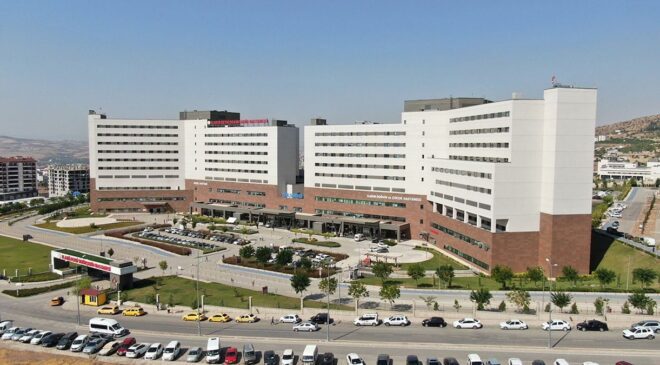 Şehir Hastaneleri ve Köprü- otoyol Özelleştirme Tartışmaları: Yandaş Kaynakları ve Gelecek Endişeleri