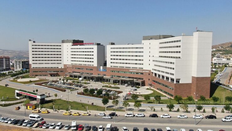 Şehir Hastaneleri ve Köprü- otoyol Özelleştirme Tartışmaları: Yandaş Kaynakları ve Gelecek Endişeleri