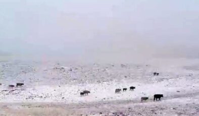 Yedigöller’de İlk Kar Sezintisi: Doğa ve İnsan Etkileşimi